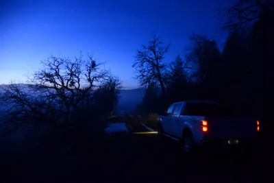 DSC_1089 (Large).JPG